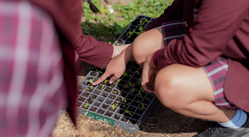 High Needs Learning Settings - Catholic Schools Parramatta Diocese