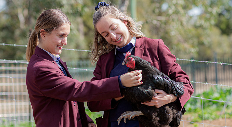 Supportive Community - Bede Polding Catholic College Sth Windsor