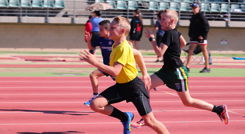 Sport at Bede Polding Catholic College Sth Windsor