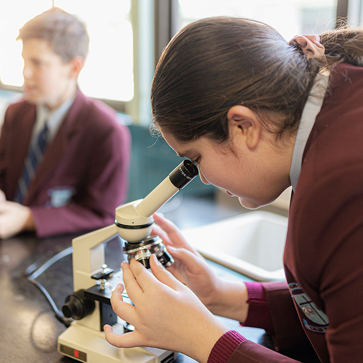 Bede Polding Catholic College South Windsor student looking into microscope during science class