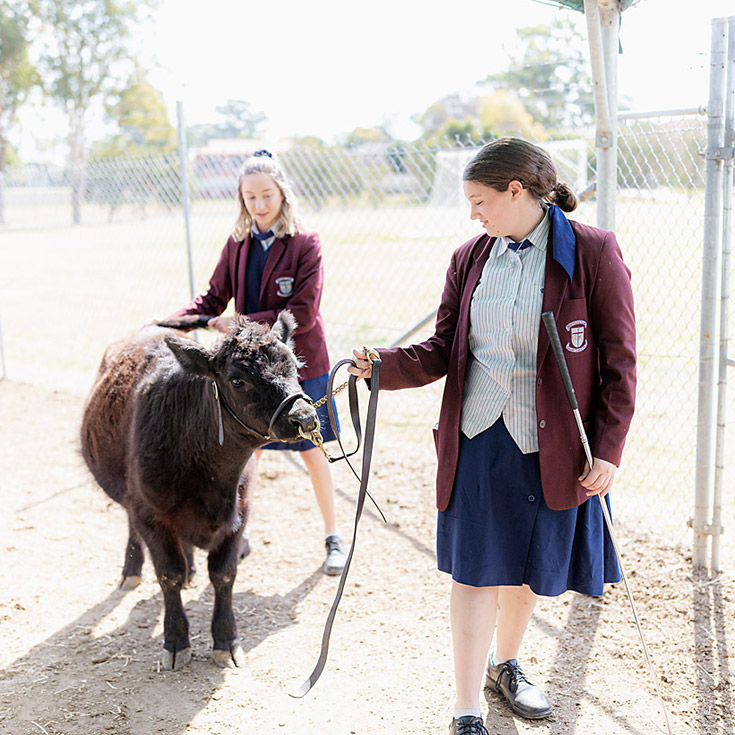 Bede Polding Catholic College Windsor Agricultural Farm