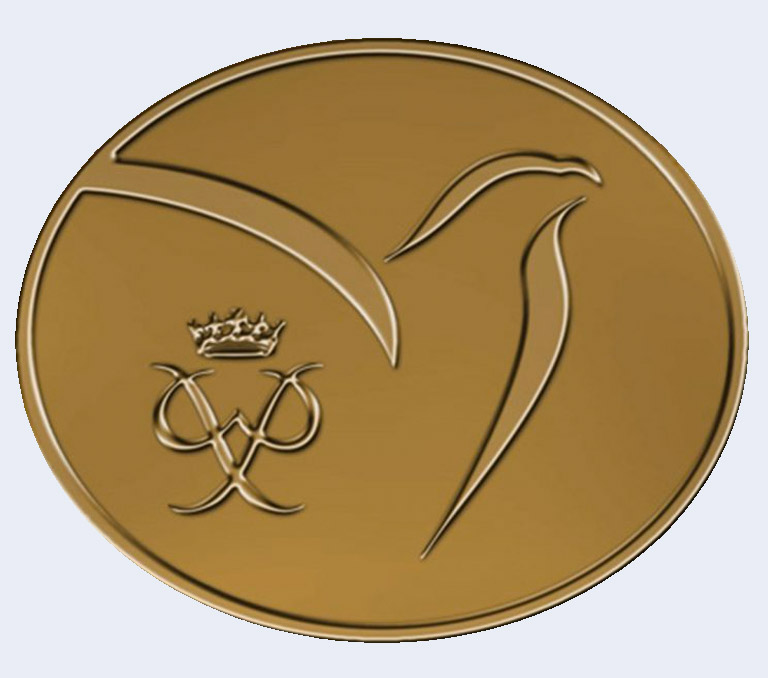 Bronze Duke of Ed Award