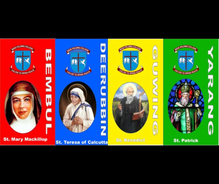 518854690242906_1406470451481321-1