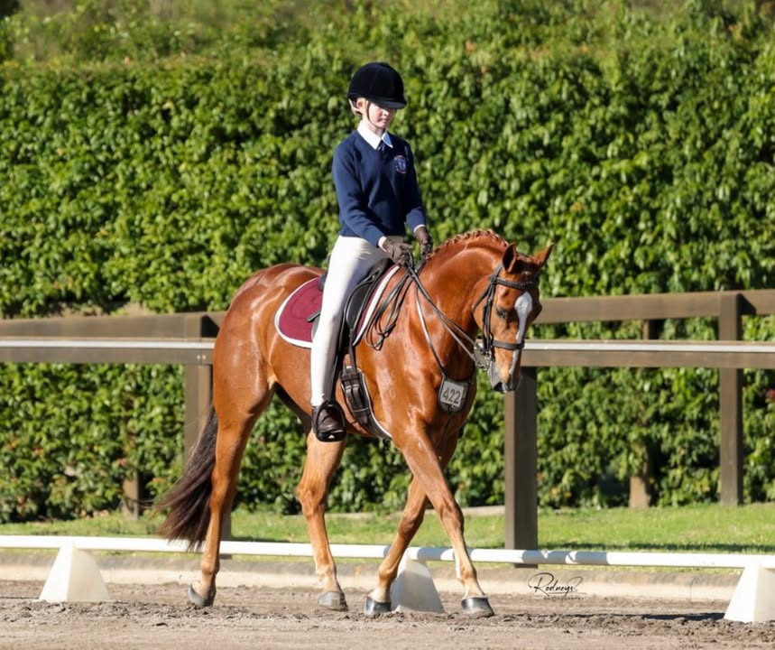 518854690242906_1411622537632779-1