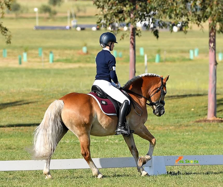 518854690242906_1423058686489164-1