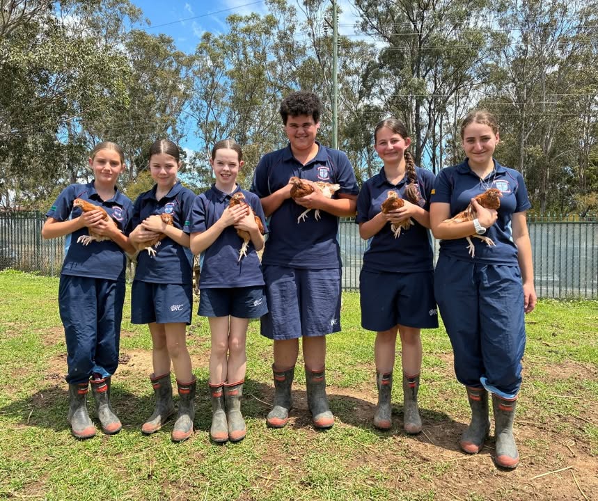 518854690242906_1426513149477051-1