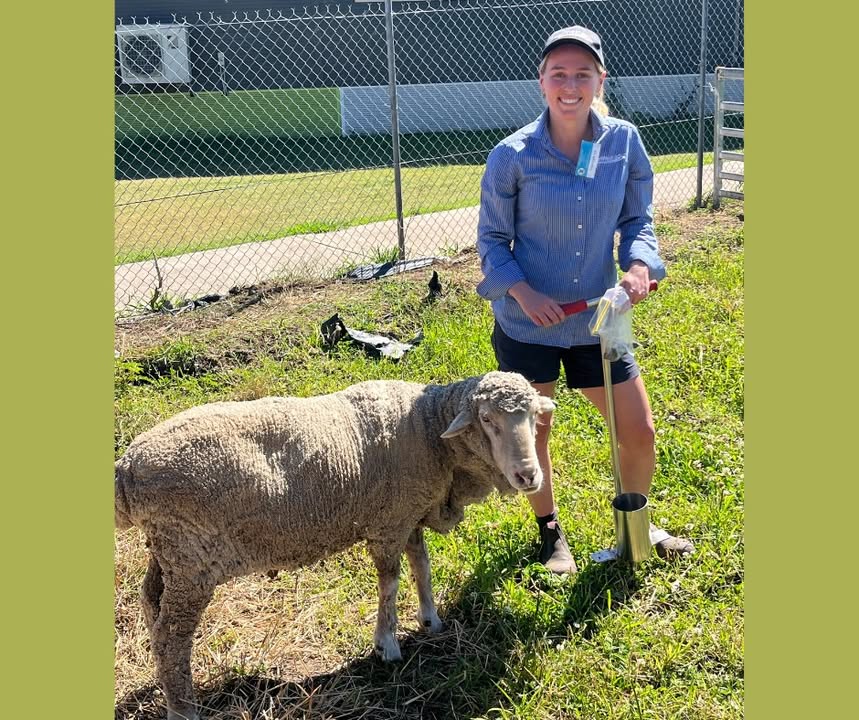 518854690242906_1428117959316570-1