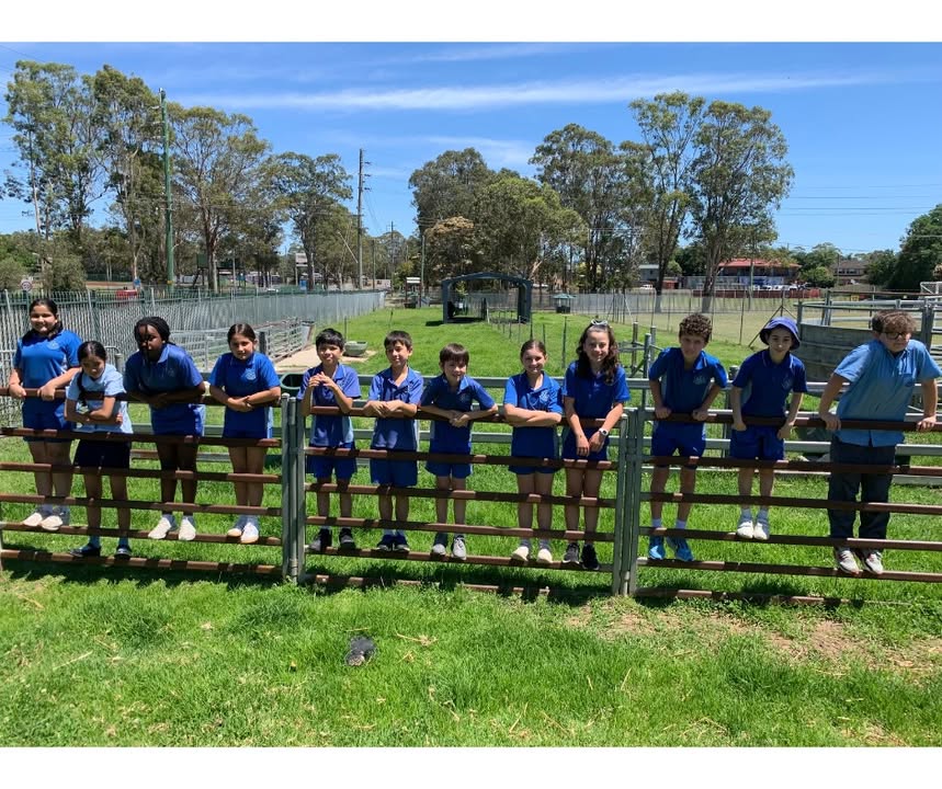 518854690242906_1441031671358532-1