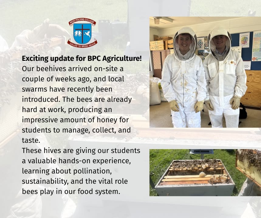 518854690242906_1446648230796876-1