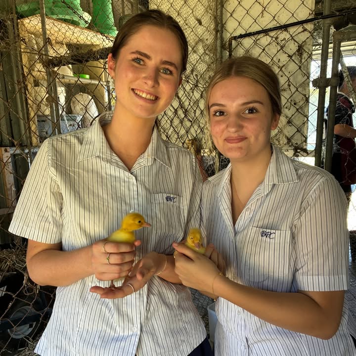 518854690242906_1504978661630499-1