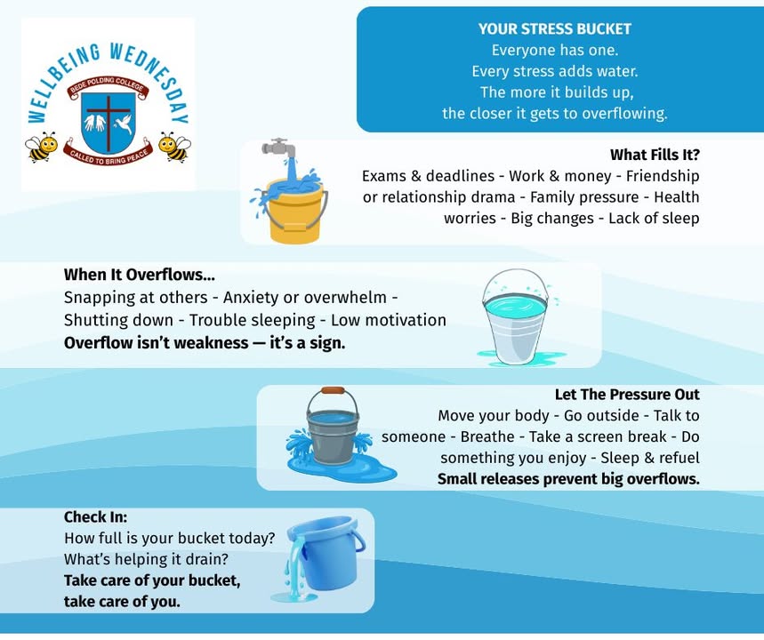 518854690242906_1517922720336093-1