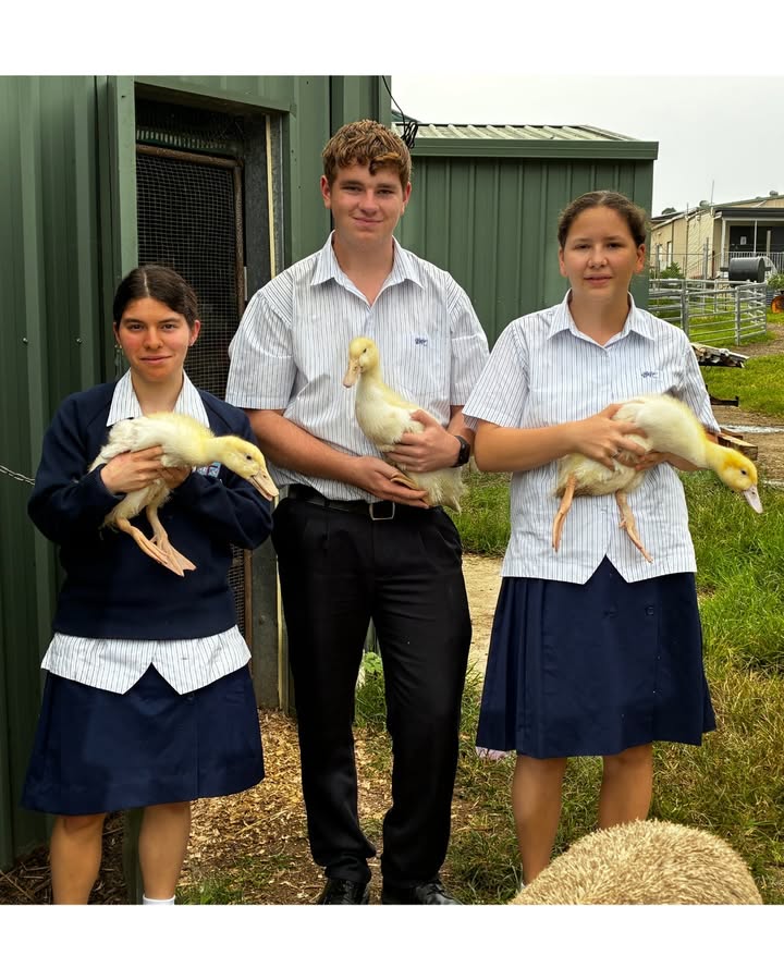 518854690242906_1524849266310105-1